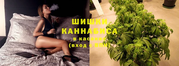 дмт Арсеньев